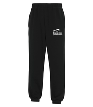 Load image into Gallery viewer, YOUTH FLEECE SWEATPANTS - ATCY2800 - PC DOLPHINS - HP