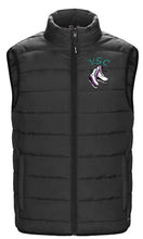 Load image into Gallery viewer, YOUTH CHILL PUFFY VEST - L0975Y - VULCAN SKATING CLUB - EMB